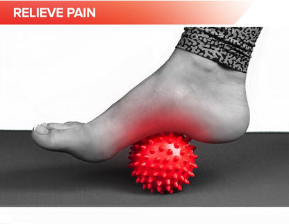 WellioLab™ | Acupressure Massage Ball Set